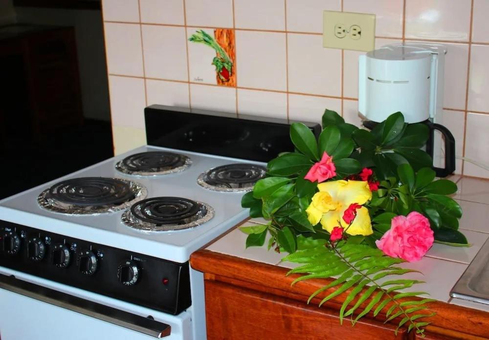 Hotel Ecological Inn Сан Хосе Екстериор снимка