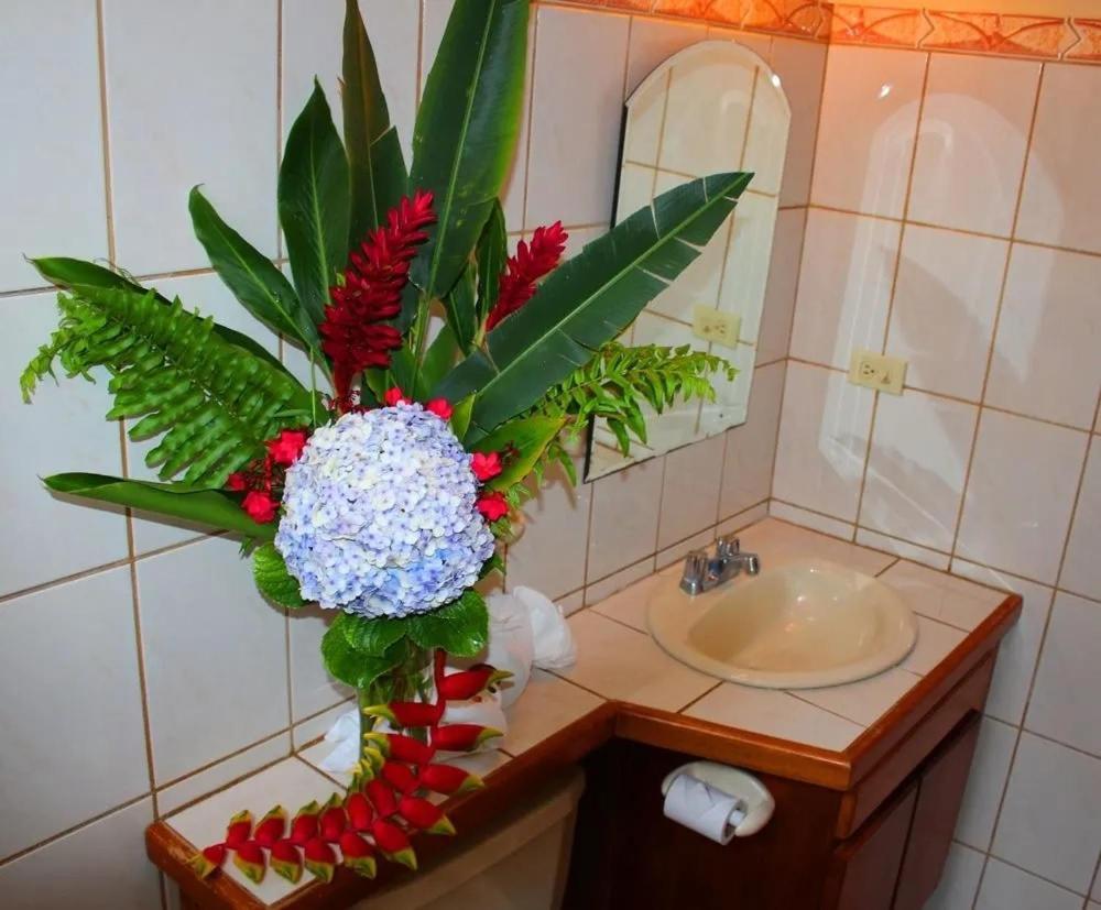 Hotel Ecological Inn Сан Хосе Екстериор снимка
